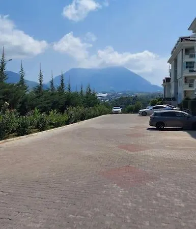 Olive Alanya!