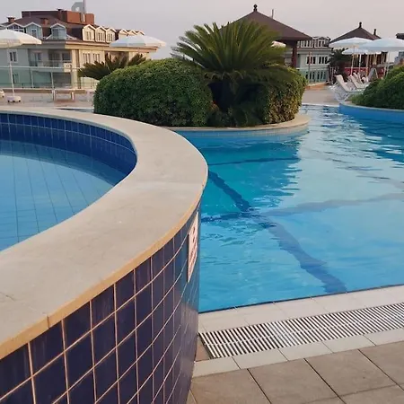 Olive Alanya! Alanya